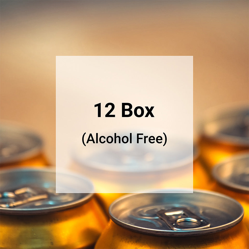 Beer Club 12 Box Gift Subscription (Alcohol Free)